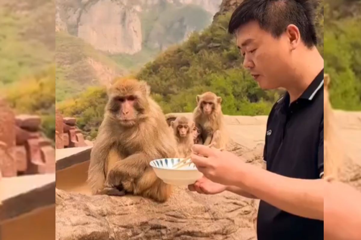 Viral Video