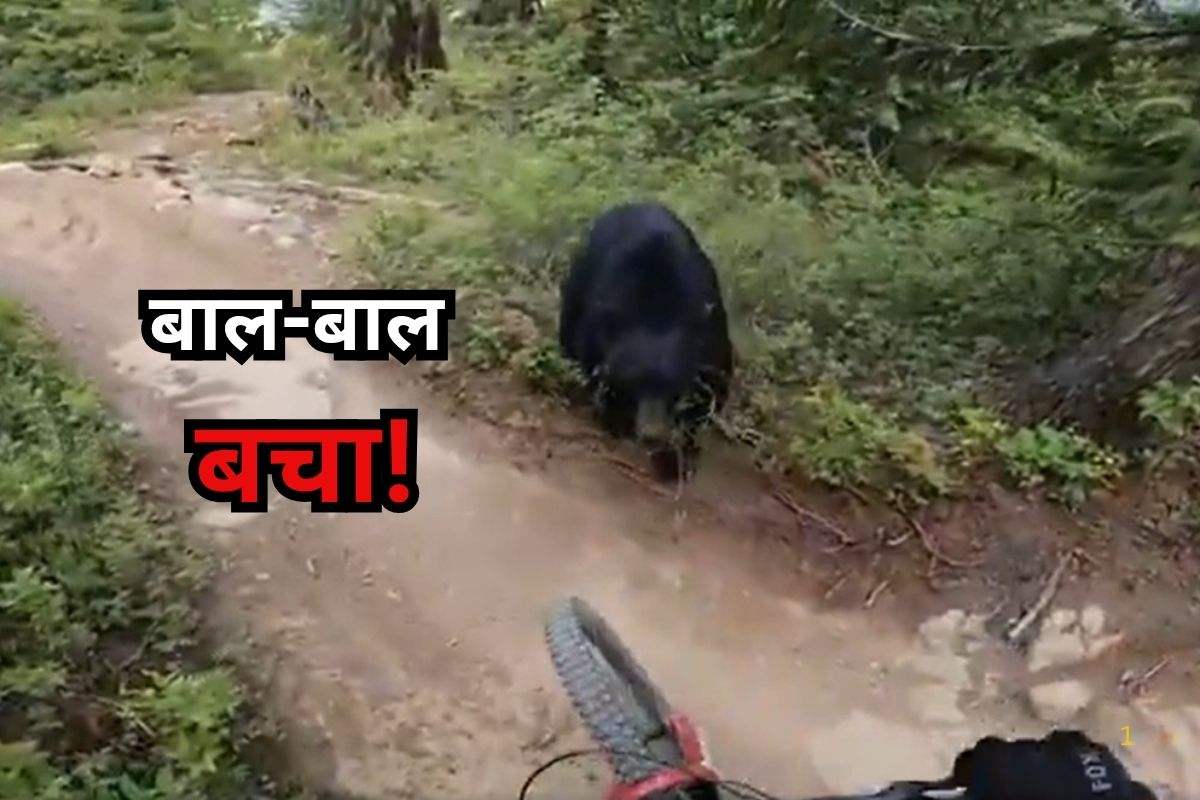Viral Video