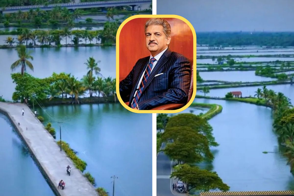 Viral Video Anand Mahindra