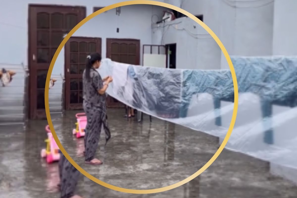Viral Video Desi Jugaad