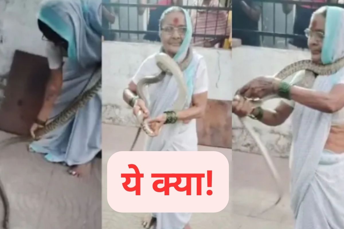 Viral Video Rat Snake