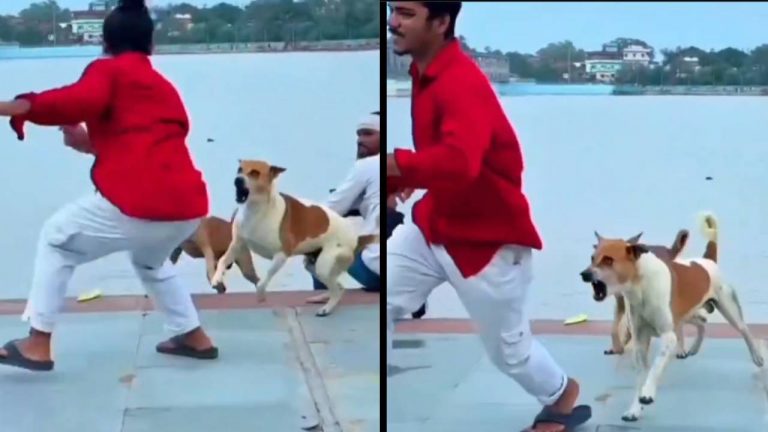 Viral Video: डोगेश भाई के सामने नहीं चलेगी रील बाजी, बंदे का छपरीपना देख दौड़ पड़े काटने, वायरल हुआ वीडियो