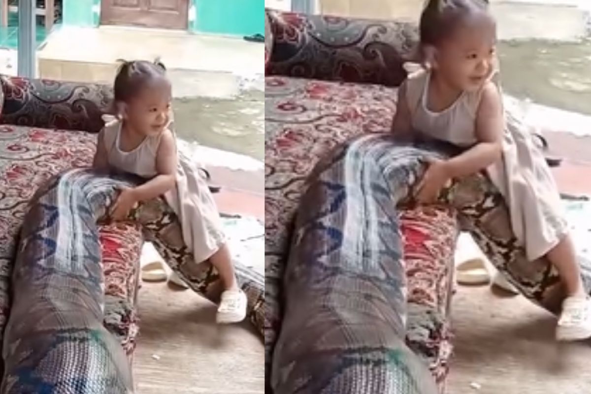 baby and snake