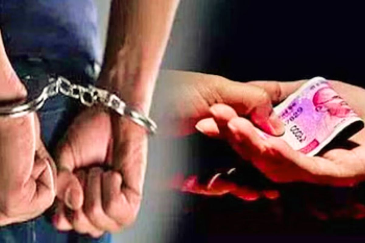 bihar news | Vigilance department caught 43 officers of Bihar red handed taking bribe in 6 months