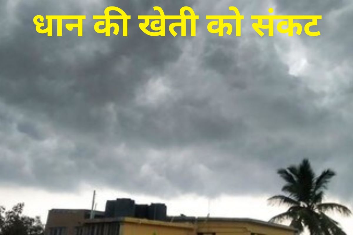 bihar weather alert