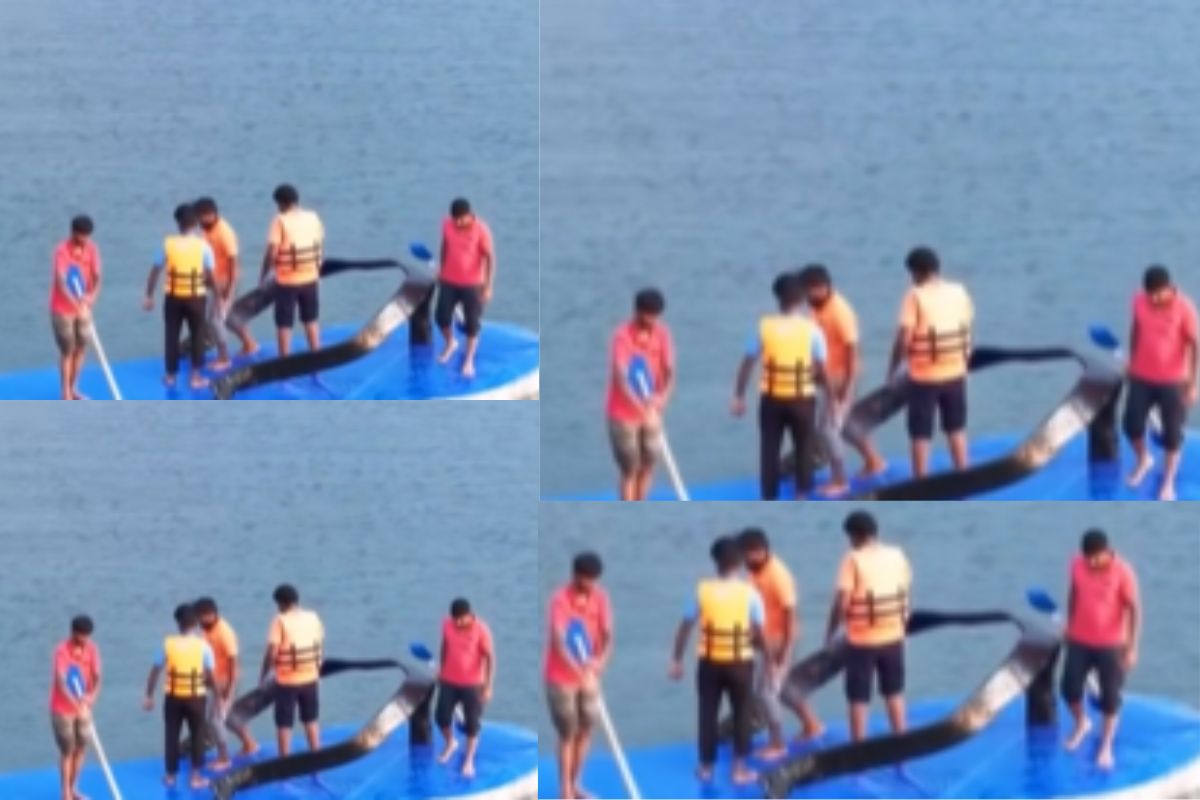 chapal boat