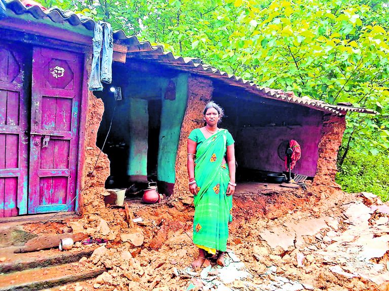Chaibasa News : मनोहरपुर में बारिश ने मचायी तबाही, वज्रपात से नौ मवेशियों की मौत