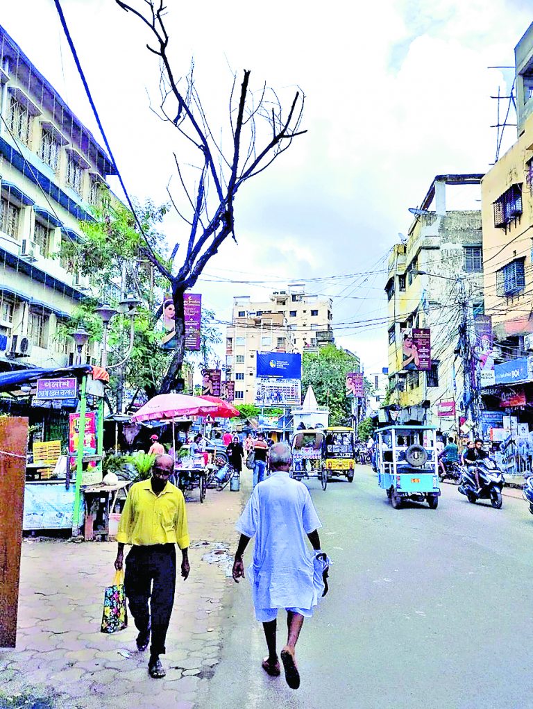 कब टूटेगी एचएमसी की कुंभकर्णी निद्रा, जीटी रोड पर कई सूखे पेड़ लोगों की जान लेने को तैयार
