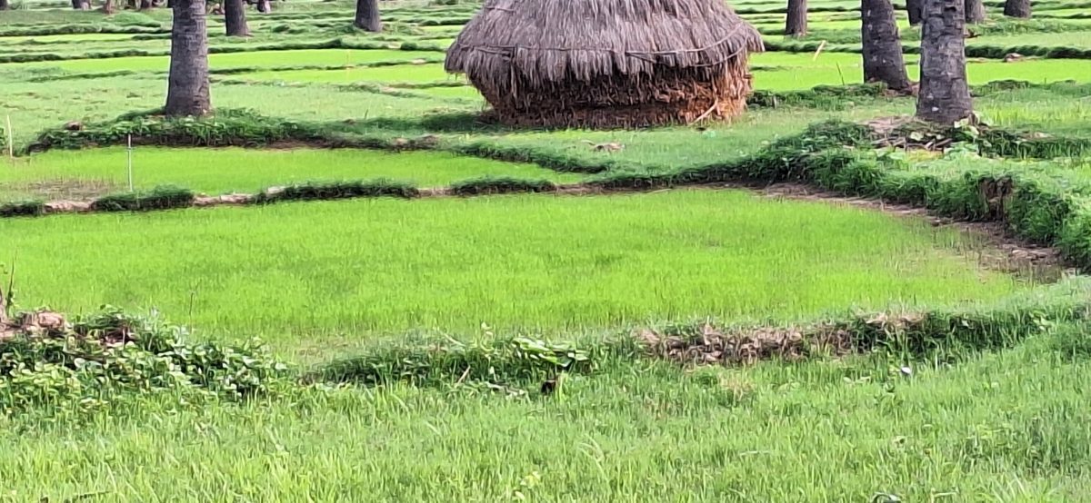 an image