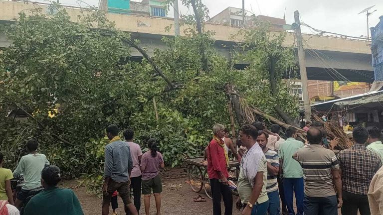 नगर के मुख्य बाजार में गिरा दशकों पुराना बरगद का पेड़, बाल-बाल बचे लोग