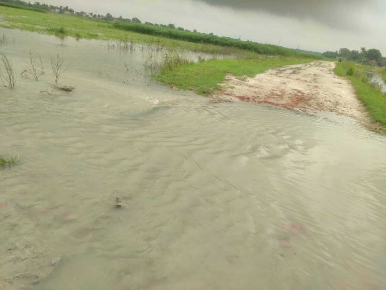 झाड़ा पंचायत में फैला बाढ़ का पानी, आवागमन हुआ ठप