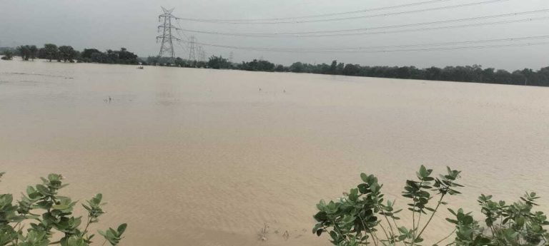 तीन दिनों से हो रही बारिश से गुमानी नदी का जलस्तर बढ़ा