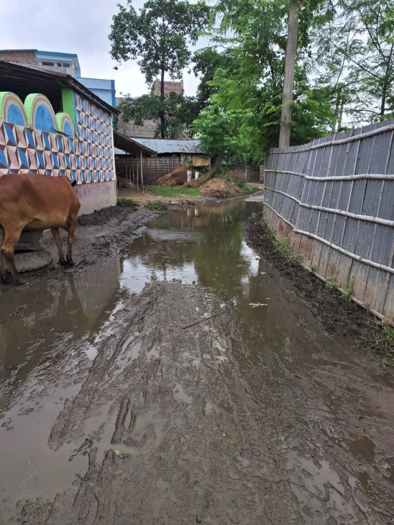 नपं बरारी के वार्ड दो, सात व नौ में जलजमा व कीचड़ से आफत