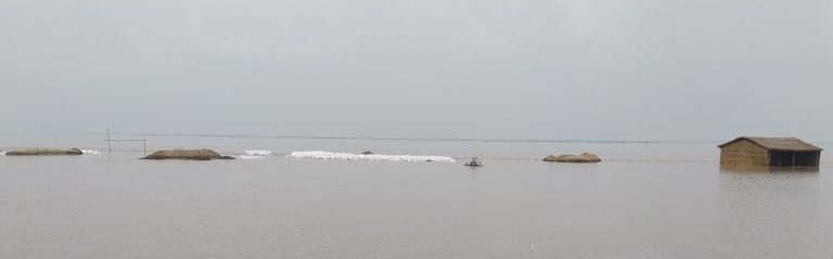 जवइनिया में कटाव से दर्जनों घर व विशालकाय पेड़ गंगा में विलीन