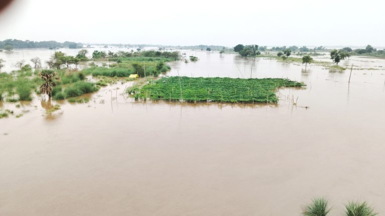 सोन नदी का बढ़ा जलस्तर, प्रशासन ने जारी किया अलर्ट