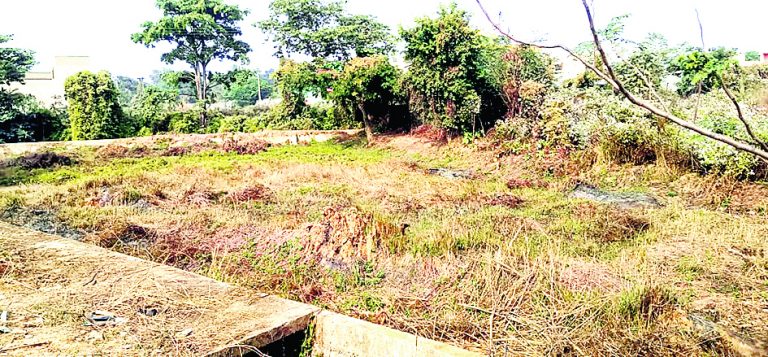 इच्छापुर पंचायत में बन रहा ग्रामीण बाजार, पूरी होगी मांग
