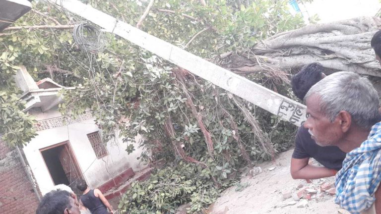 मकान पर गिरा बरगद का पेड़, टला बड़ा हादसा