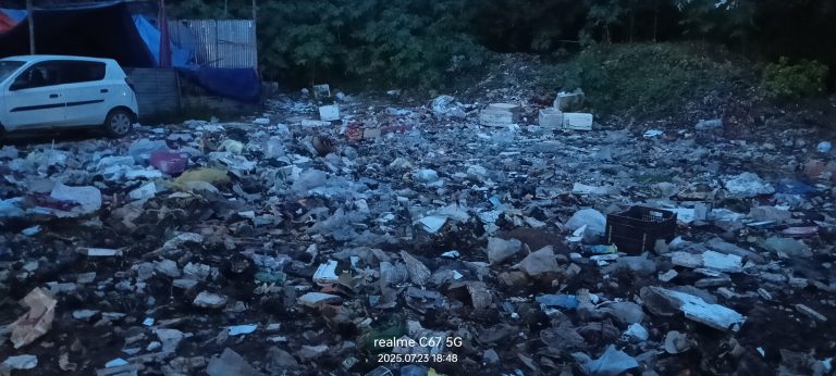 सरकारी बस पड़ाव – कभी खुलती थी दर्जनों सरकारी बसें, आज कूडों का अड्डा