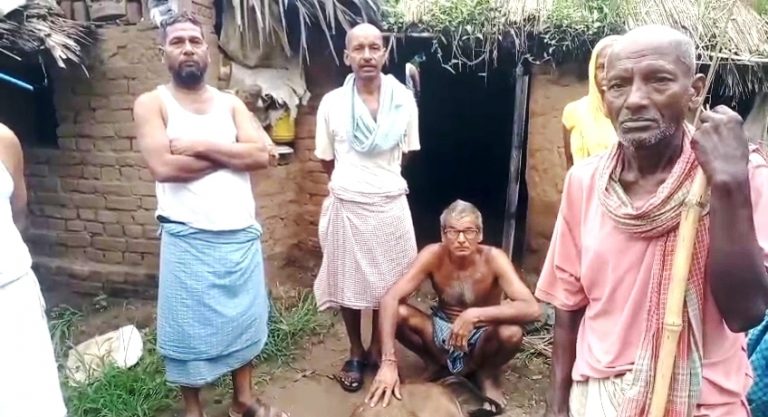 दिलावरपुर में  बारिश के दौरान वज्रपात से कई घरों की बिजली गुल, एक मवेशी भी मरी