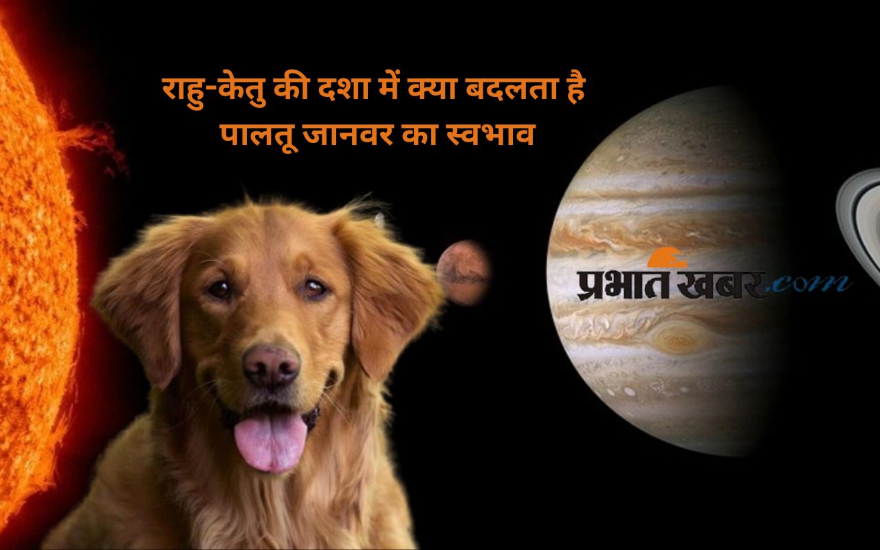 Planetary effects on animals in Hindi