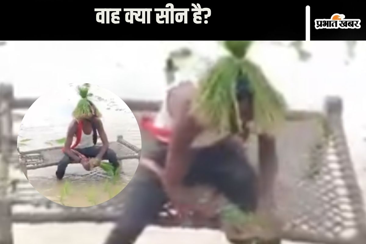 planting paddy funny video