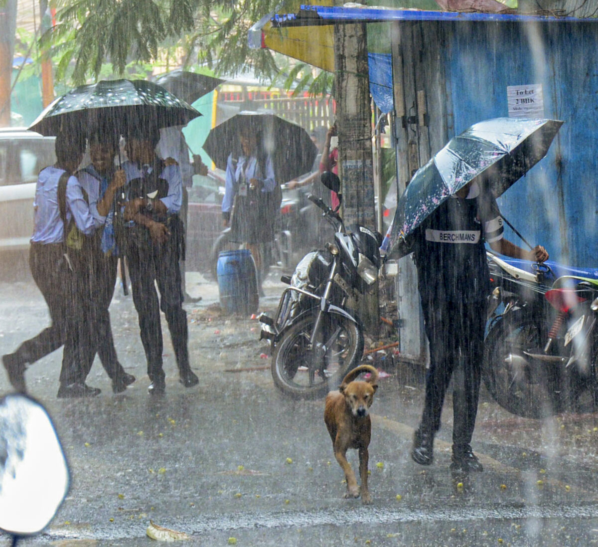 25081 Pti08 25 2025 000363A