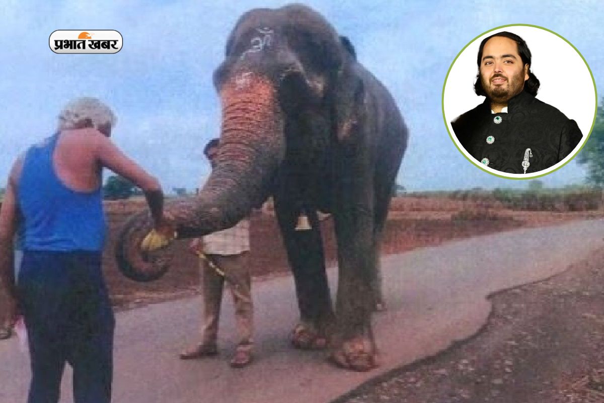 Anant Ambani Elephant Vantara News