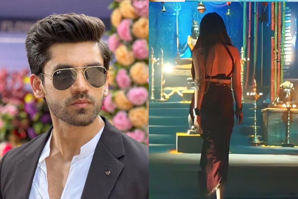 Avinash Mishra in naagin 7
