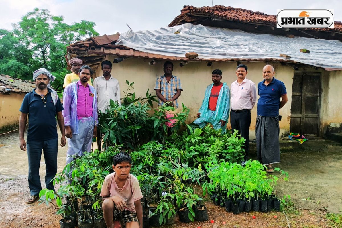 BAU Ranchi Distributed Fruit saplings among tribal farmers