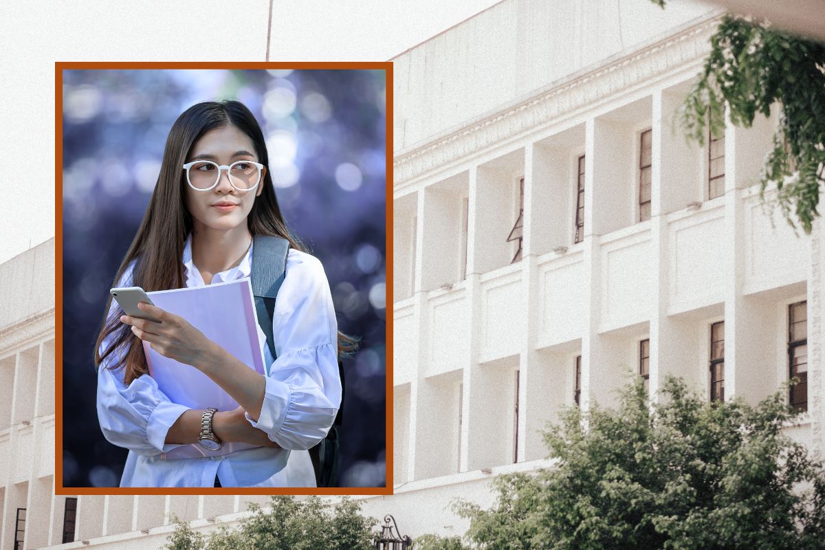 Best BTech Branch for Placement