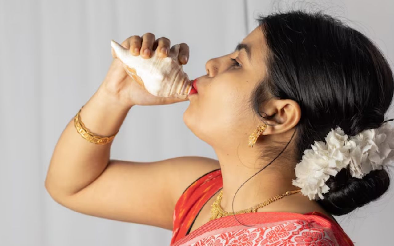 Conch Shell buying guide