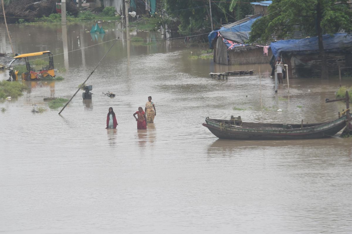 bihar flood news