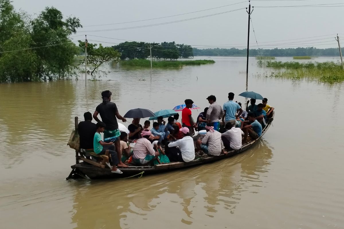 katihar flood news
