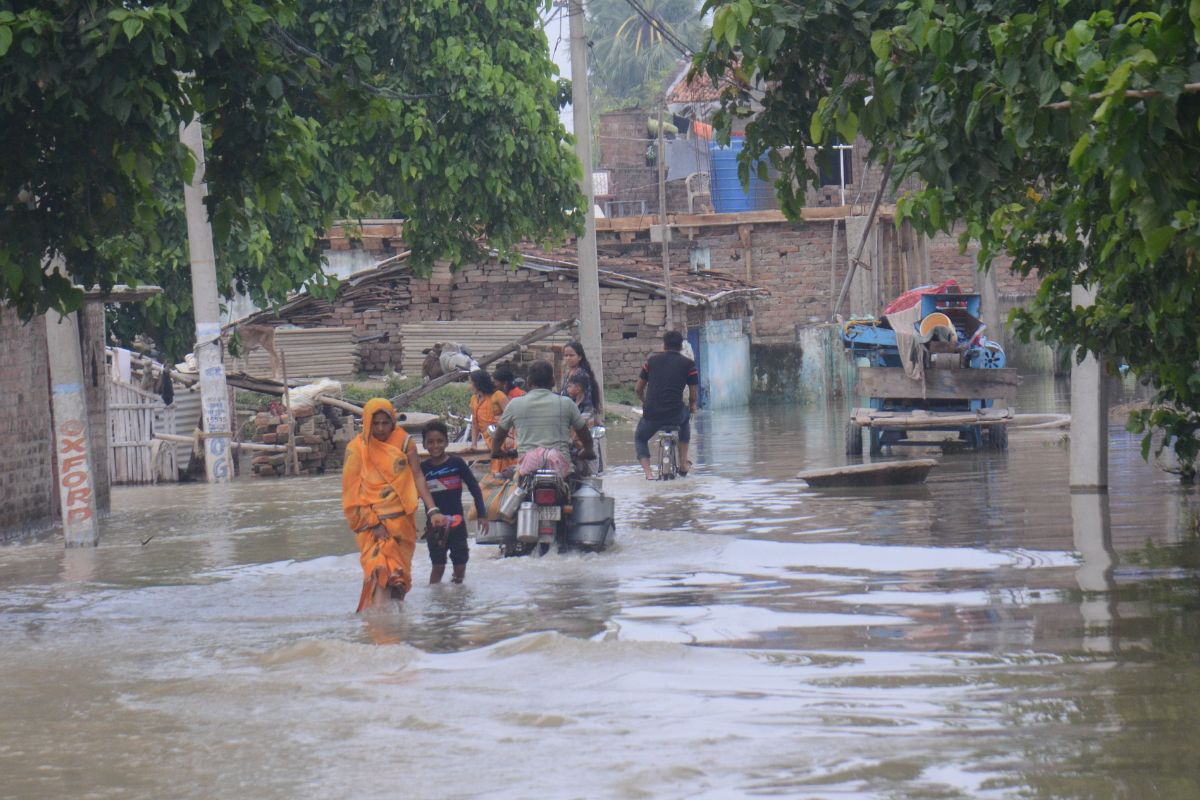 bhagalpur flood news