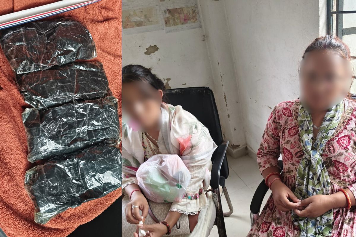 brown sugar supplier