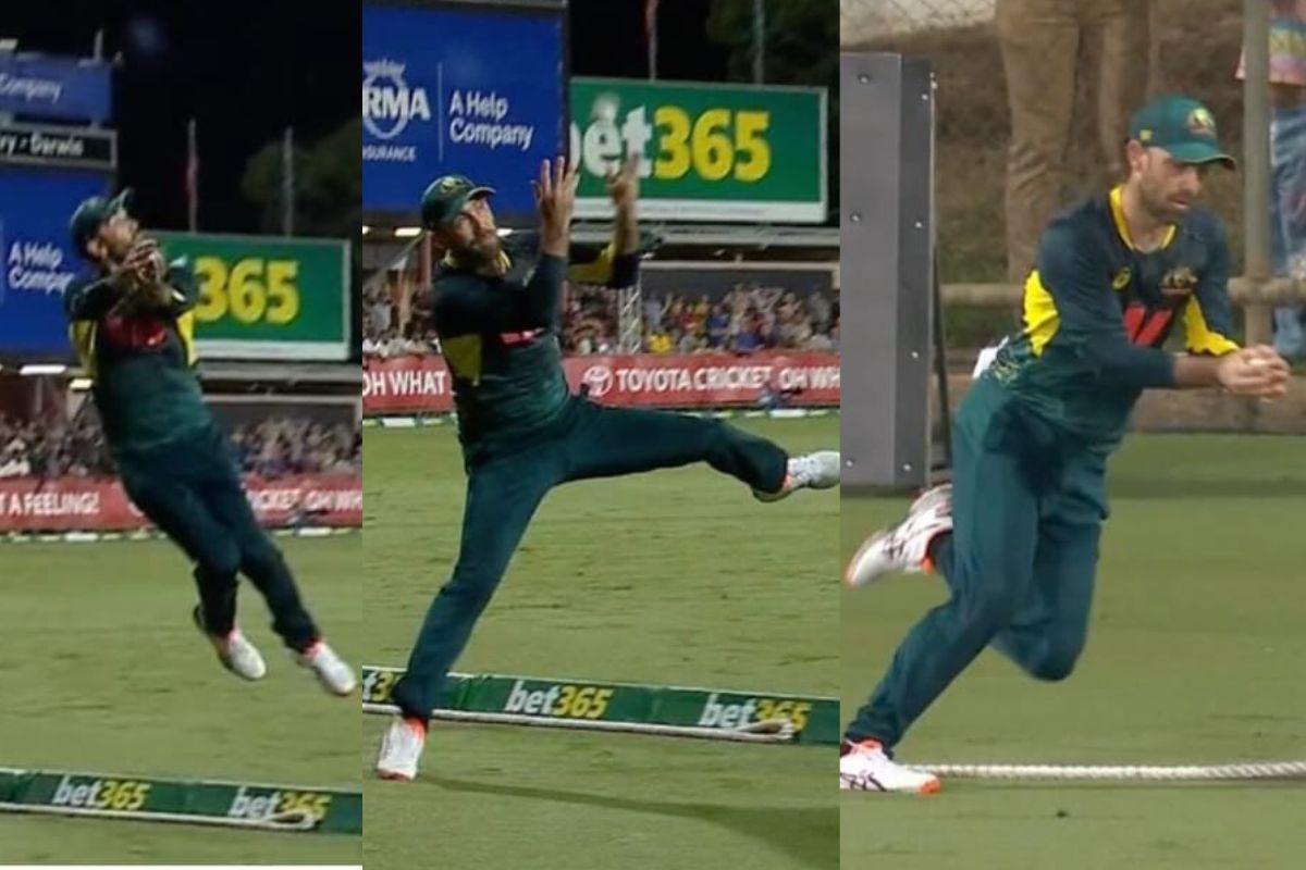 Glenn Maxwell Splendid Catch
