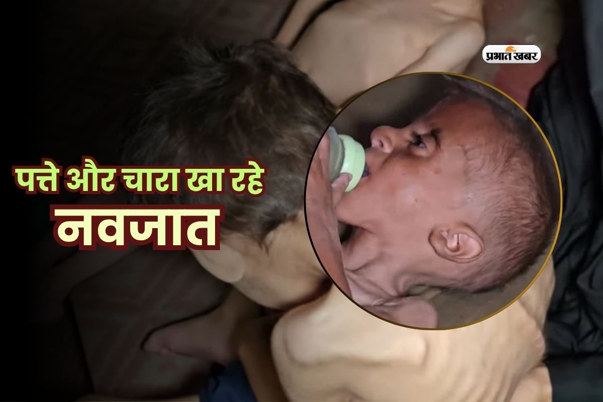 Gaza Babies Dying Hunger Milk Crisis/ Image Taken Social Media