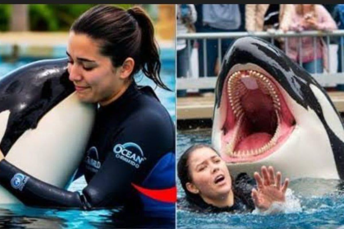 Jessica radcliffe चज