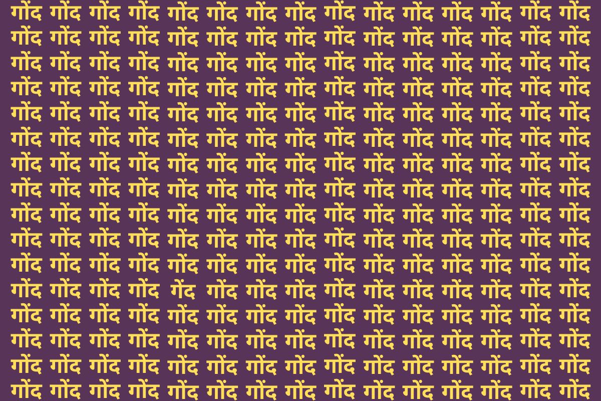 Optical Illusion Photo