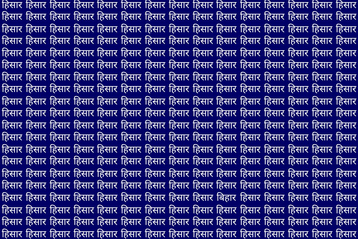 Optical Illusion Photo Bihar