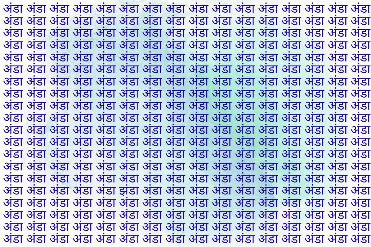 Optical Illusion Photo Jhanda