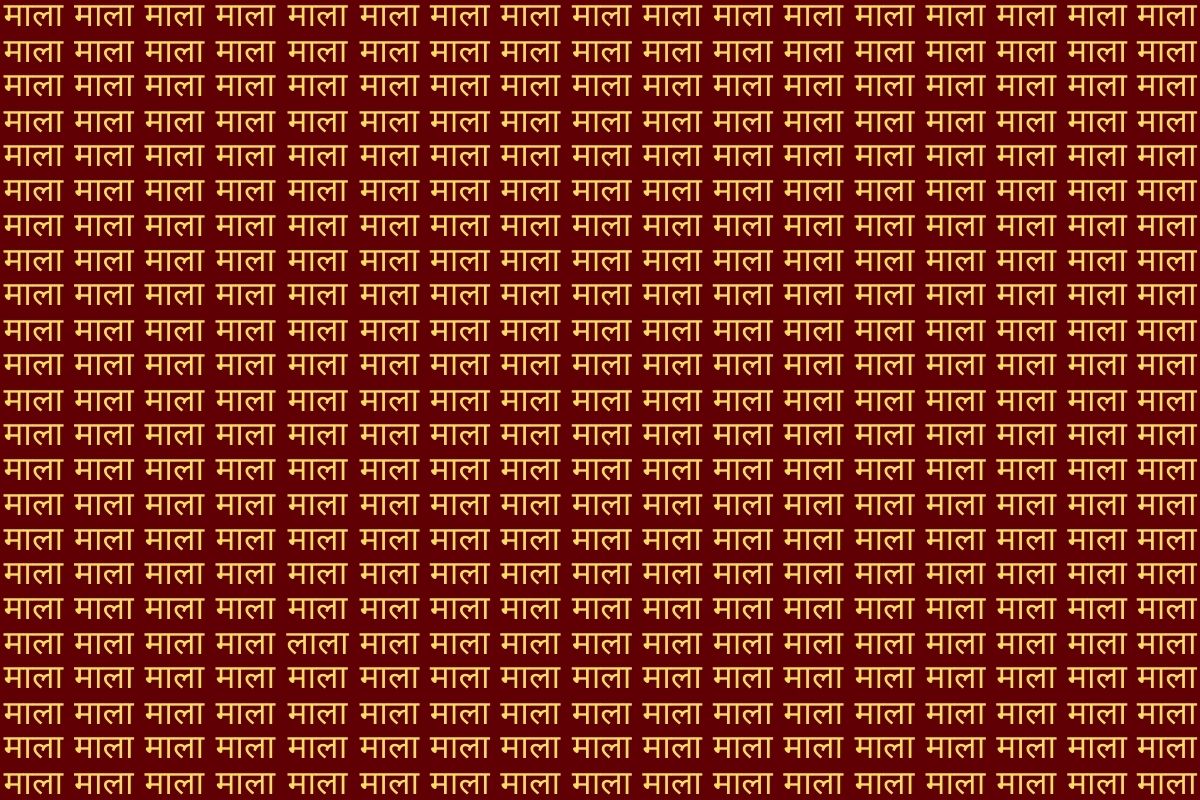 Optical Illusion Photo Lala