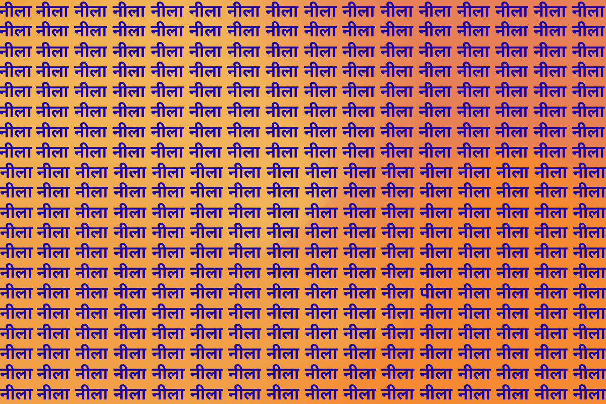 Optical Illusion Photo Peela