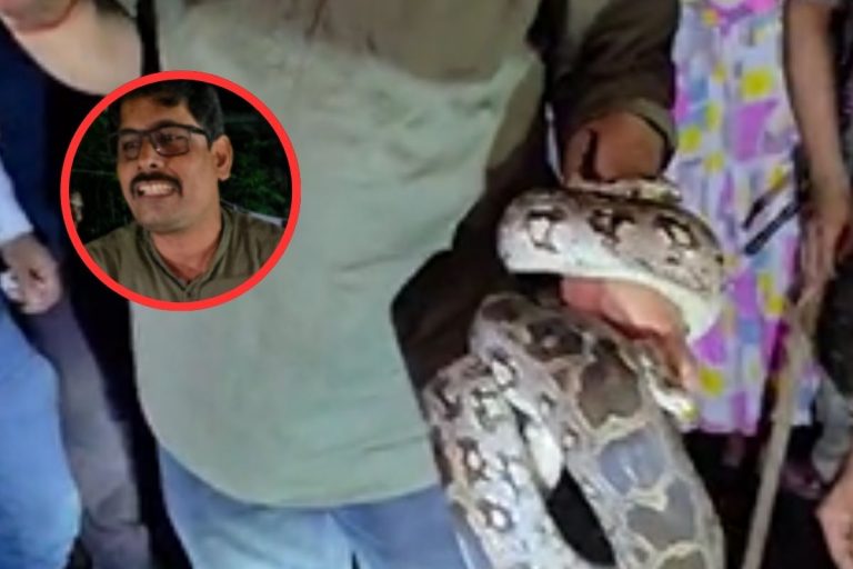 Watch Video : रांची में कैसे आया अजगर? मचा हड़कंप, सांप को पकड़ने वाले ने बताई पूरी बात