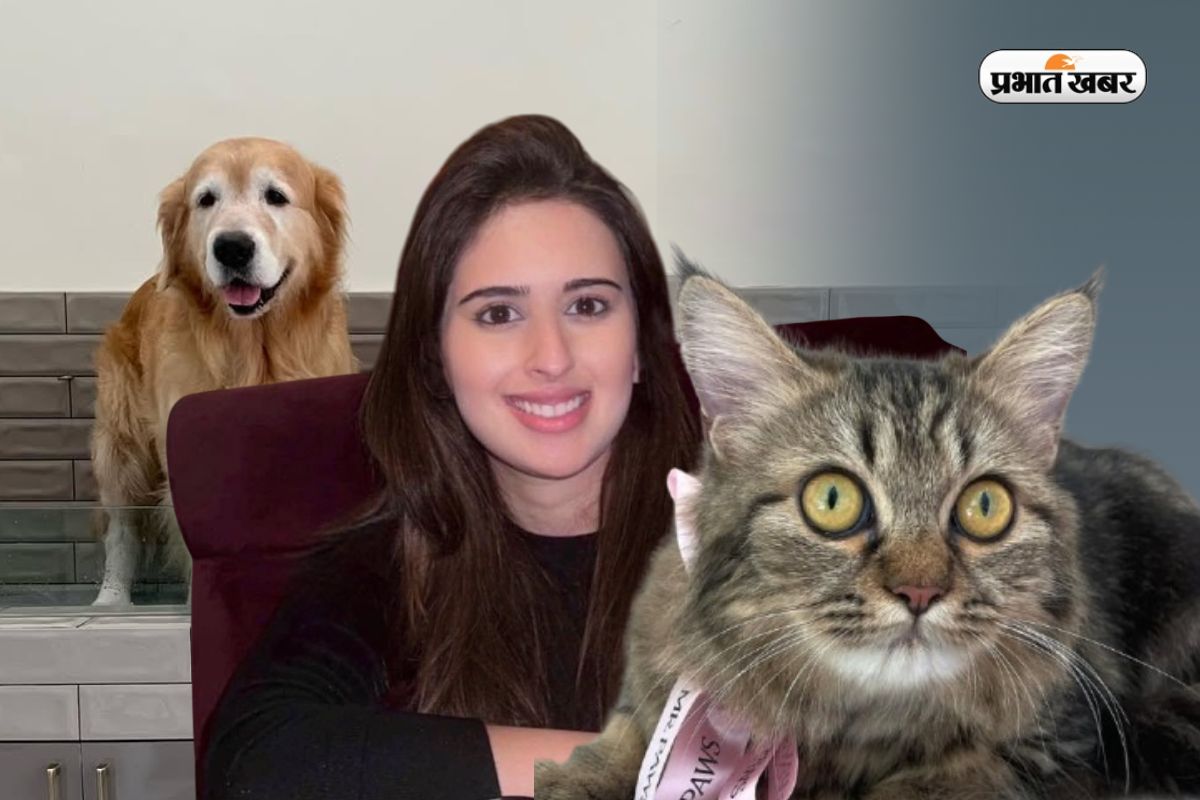 Saaniya Chandhok Degree