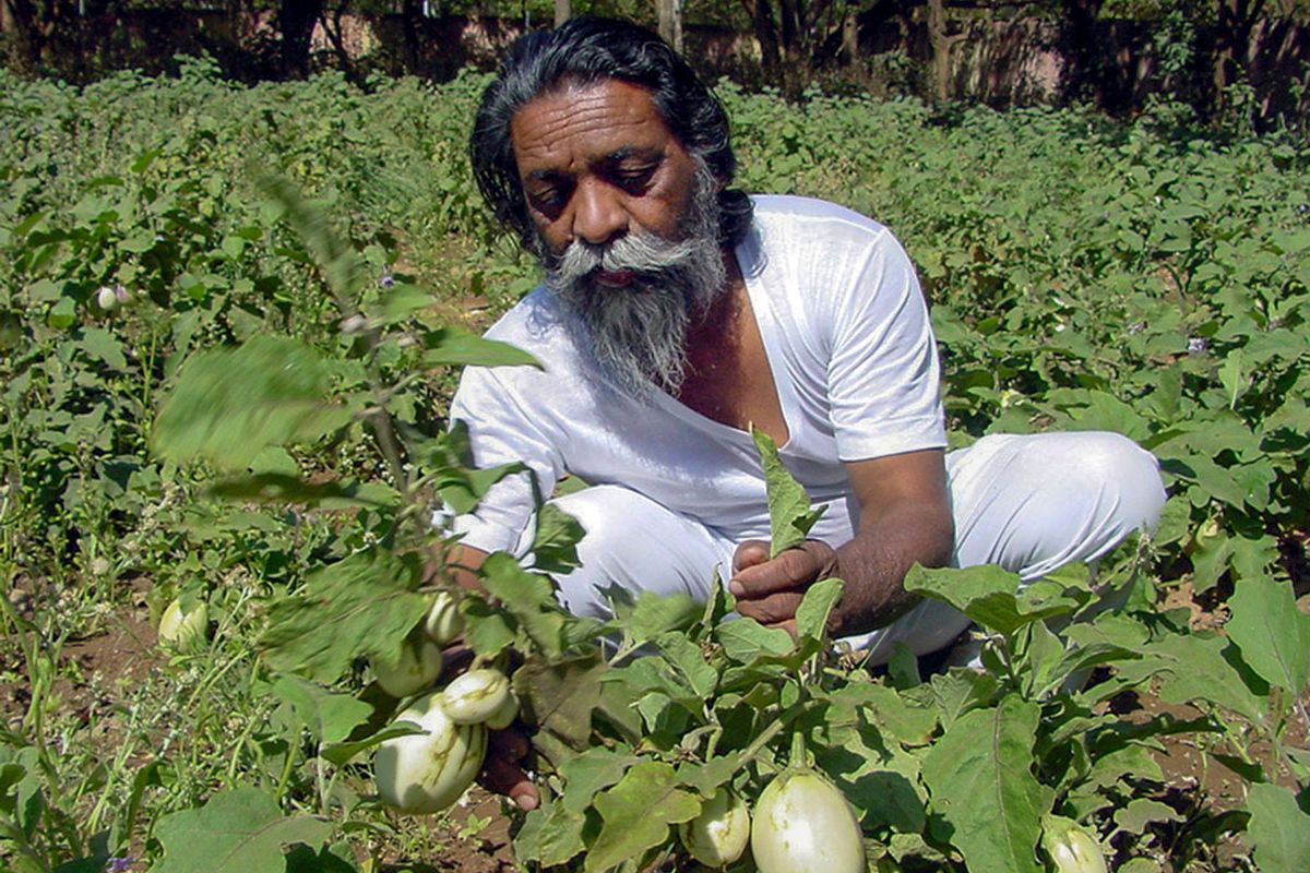 Shibu Soren And No 4