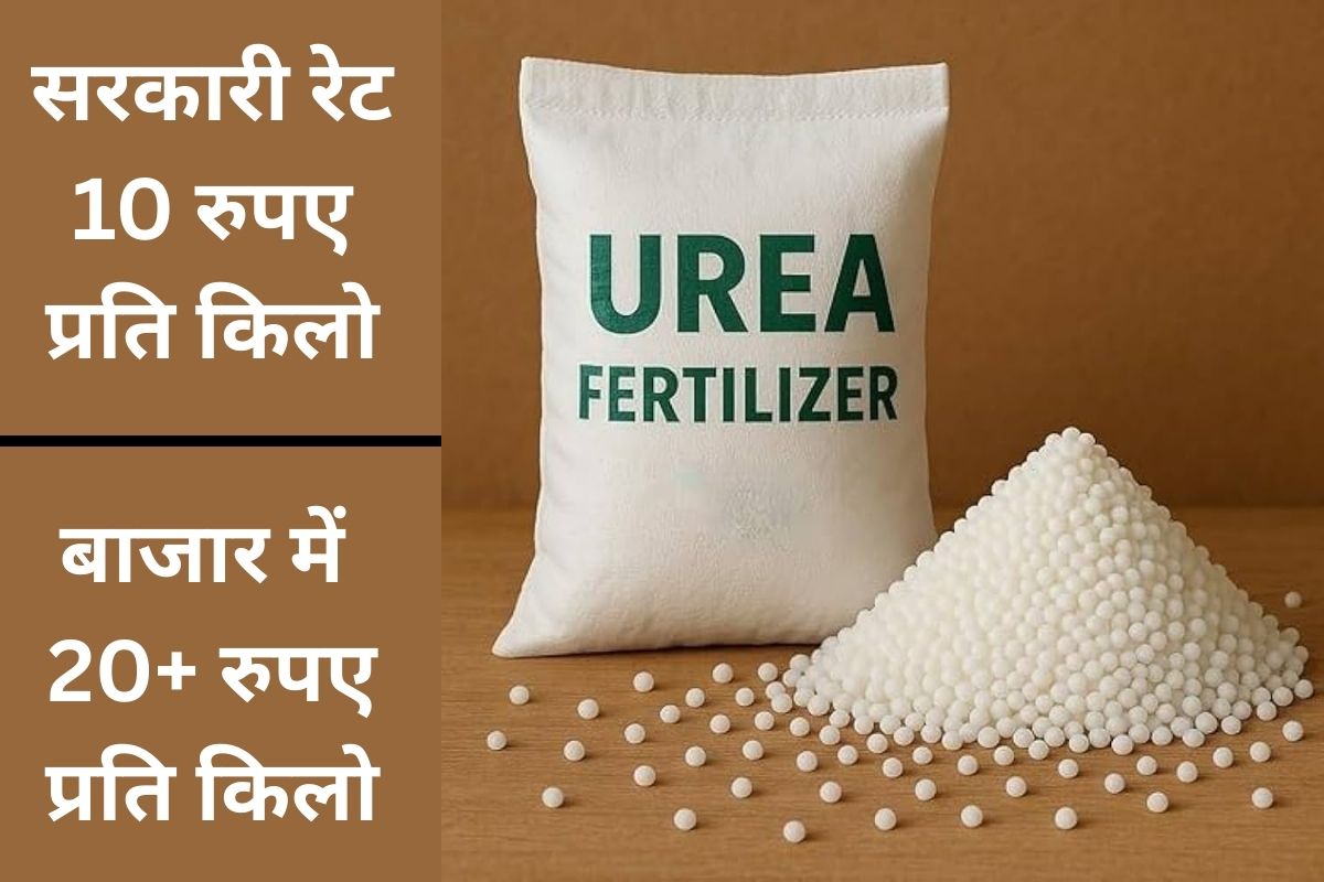 Urea Scarcity in Gumla Price Per Kg