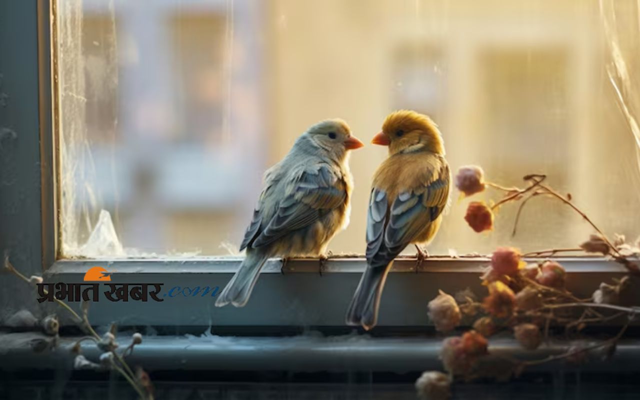 Vastu Tips for birds morning in balcony