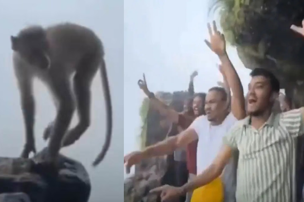 Viral Video Boys Monkey Dance Watch