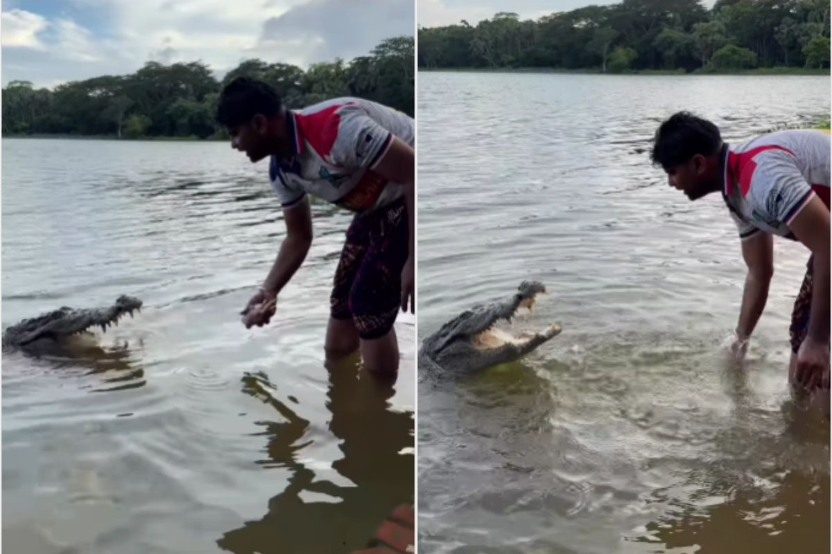 Viral Video Man feeding Crocodile